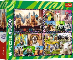 Puzzle 4×250 pieces Cheerful Animals