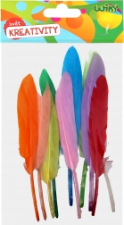 Creatieve set decoratieve veertje