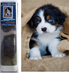 Diamond painting Bernese Mountain Dog puppy 30 × 40 cm