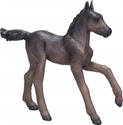 Mojo Arabisches Fohlen schwarz