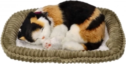 Ademend driekleurig katje op een mandje