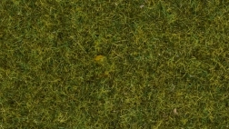 Herbe statique Prairie 4 mm
