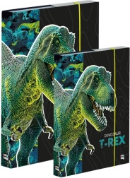 Set schriftenboxen A4 en A5 – dinosaurus