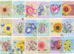 Puzzle Seed Packets 500 pieces by Cobble Hill