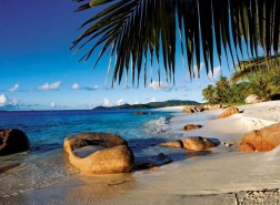 Ravensburger puzzle Under the Palms 1000 pieces