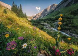 Puzzle Magical Hillside 1000 pieces