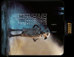 Harry Potter Dobby Picnic Blanket