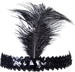 Bq84 serre-tête à plumes avec stylo