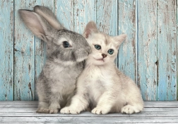 Puzzel 500 stukjes compact kat en konijn