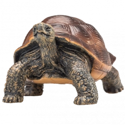Mojo figuur reuzenschildpad – realistisch dierenfiguur