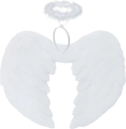 Angel wings with halo 45 × 35 cm ruhhy