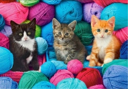 Puzzle 1000 pièces Chats dans des pelotes de laine