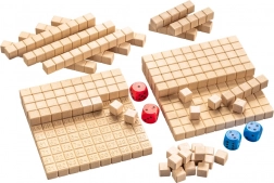 Wissner didactisch spel: Getallen tot 100