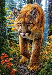 Castorland Puzzle Puma in the Forest 1500 Pieces