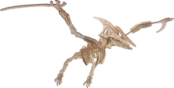Woodcraft houten 3D-puzzel pterosaurus