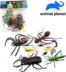 Dieren Insecten 6 stuks 10 cm van Animal Planet
