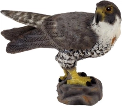 Peregrine Falcon model