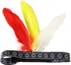 Indiaanse hoofdtooi met veren voor volwassenen