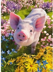 Cherry Pazzi puzzle Do You Like Me? 500 pieces