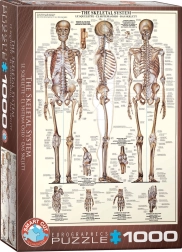 Eurographics Puzzle Skeletal System 1000 Pieces