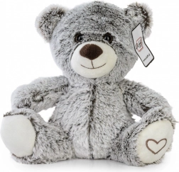 pluchen teddybeer met hartje 22 cm