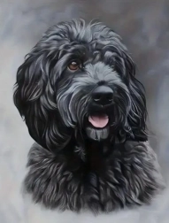 Diamond painting black Cockapoo 30 × 40 cm