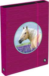 Doos voor schriften A4 Jumbo OXY Sherpy Pink