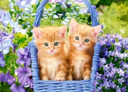 Puzzle Ginger Kittens 70 pcs
