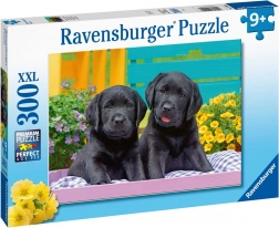 Ravensburger puzzle Puppy Life 300 pieces