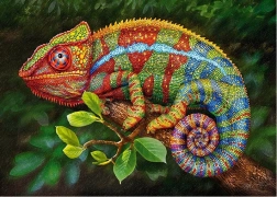 Cherry Pazzi Puzzle Chameleon 1000 pieces