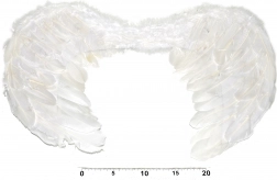 Engelenvleugels voor kostuum