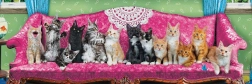 Panoramic Puzzle Cats on a Cat Couch - 1000 Pieces