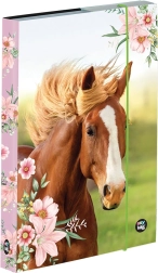 A5-schriftendoos met paardenmotief