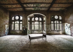 Puzzel Verloren Plaatsen: Verlaten Kamer 1000 stukjes