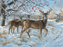 Deer in Winter Puzzle 500 Pieces