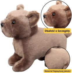 Brown Plush Puppy 19cm