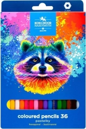 Zeskantige kleurpotloden Wasbeer 36 stuks