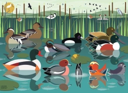 Puzzle Ravensburger J’aime les oiseaux aquatiques 500 pièces