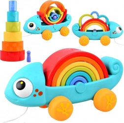Regenboog kameleon speelgoed montessori 18m+
