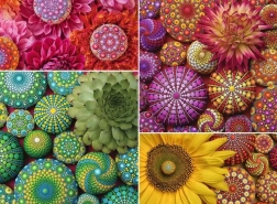 Ravensburger Puzzle Mandala Flowers 500 Pieces