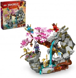 LEGO NINJAGO Tempel van de Drakensteen