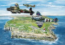 Puzzle Wings over Portland 500 pieces