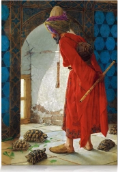 STAR Turtle Trainer puzzle – 1000 pieces