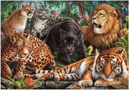 Puzzle Wild Cats 500 Pieces
