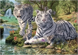 Puzzle White Tigers 1000 Pieces – Secret Collection by Dino