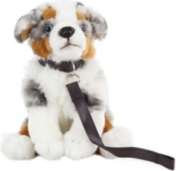 Plush Australian Shepherd with Leash