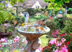 Summer Bird Puzzle 1000 Pieces