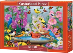 Rhythm of Nature 2000-Piece Puzzle