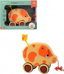 Varkentje aan een touwtje