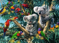 Koala’s in de boom 500 stukjes